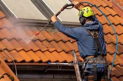 Démoussage et hydrofuge de toiture à Chantesse